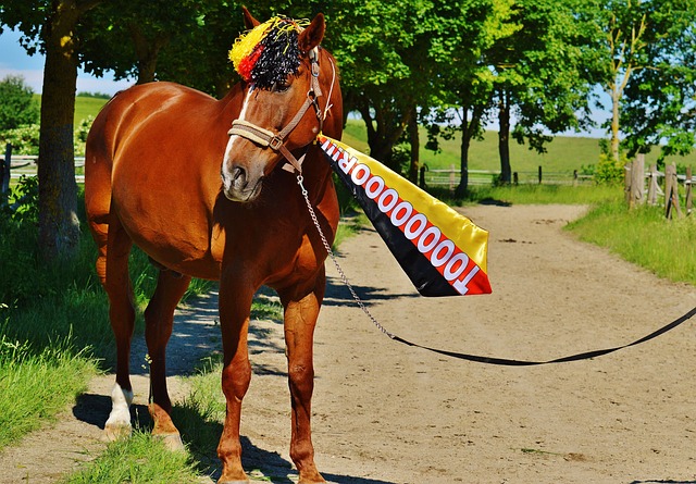 些勇敢的先 些勇敢的先