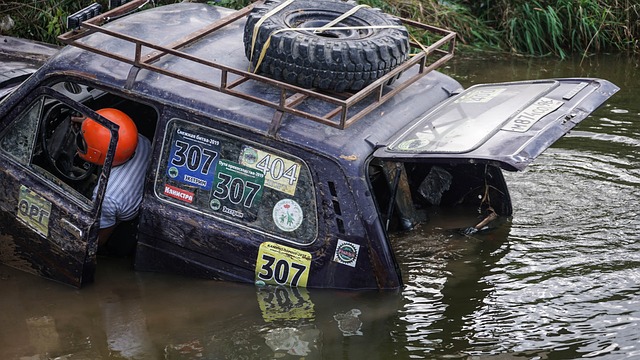 在众多强队 在众多强队