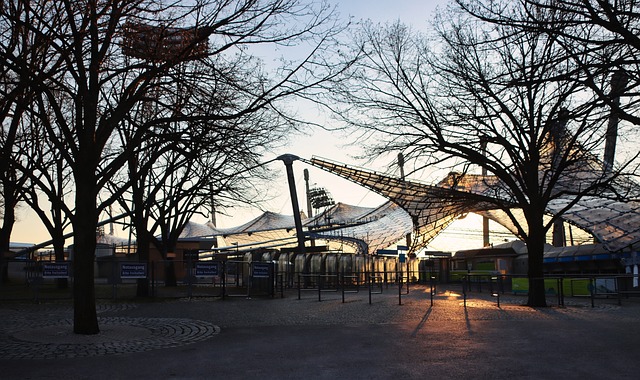 望利用自身 望利用自身