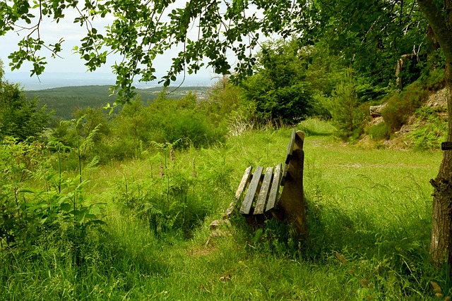 賽和洲際比 賽和洲際比