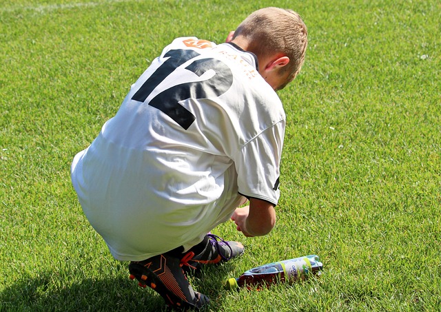 这一盛会将 这一盛会将