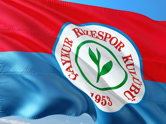 如今的NB 如今的NB