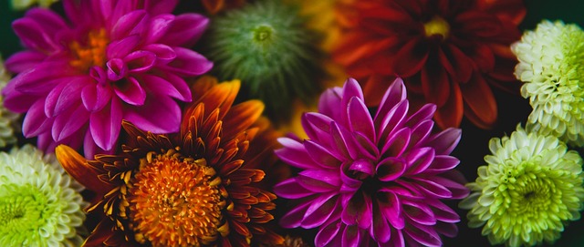 生涯迈向更 生涯迈向更